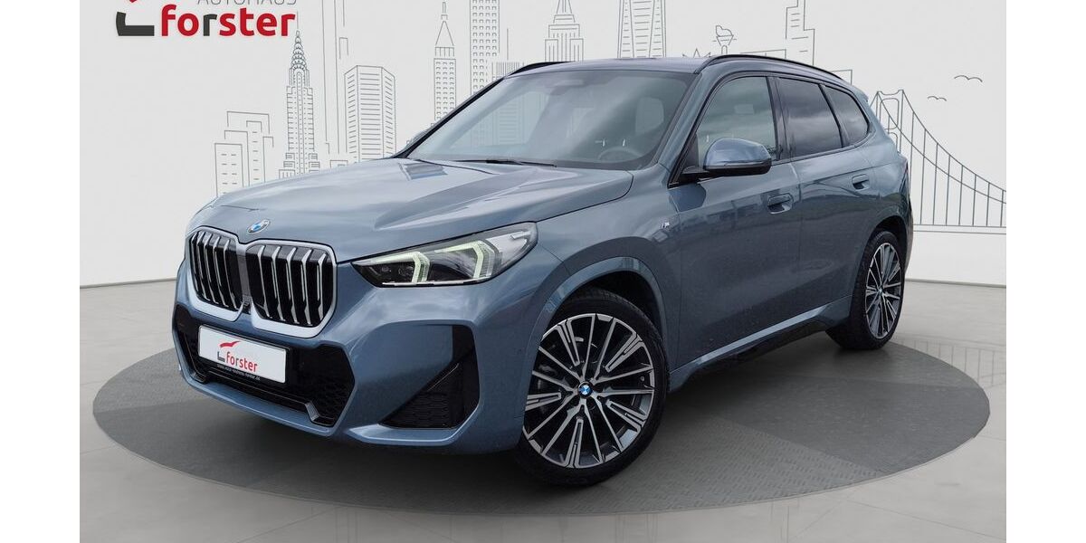 BMW X1 32.990 km 42.880 &euro; Altenstadt 92665