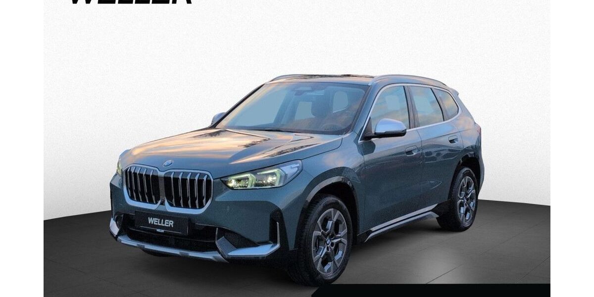 BMW X1 2.143 km 39.790 &euro; Braunschweig 38112