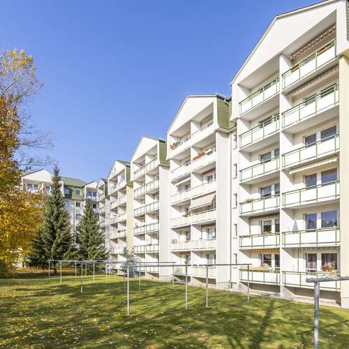 Wohnung zum Mieten in Freiberg 226 € 41 m²