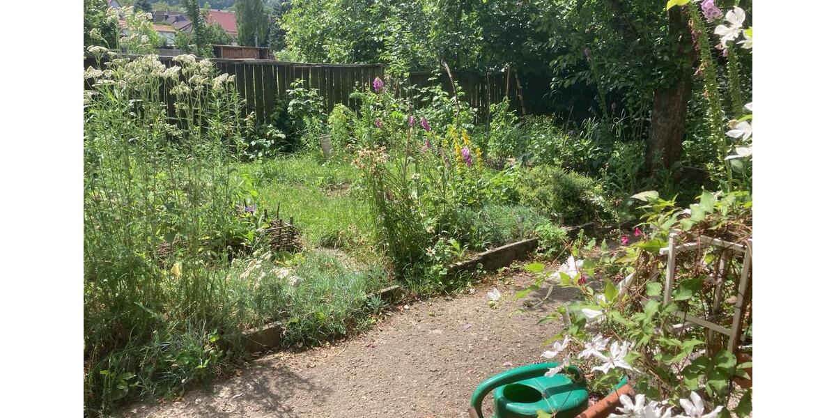 Etagenwohnung Blankenhain - 2 Zimmer, 75 m&sup2;, 400&euro; | Angebot:26022746