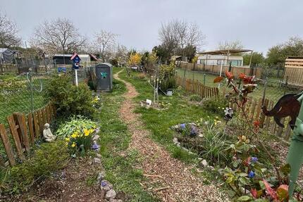 Grundstück Haßloch - 15.555&euro; | Angebot:26087562