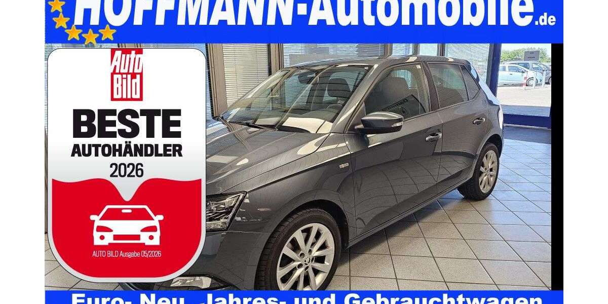 Skoda Fabia 75.000 km 12.350 &euro; Wolfsburg Heiligendorf 38444