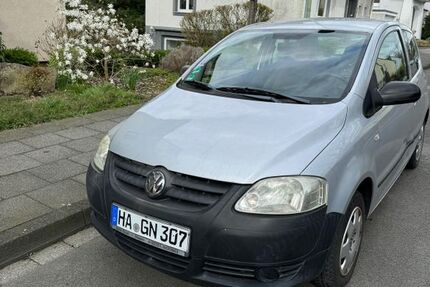 VW Fox