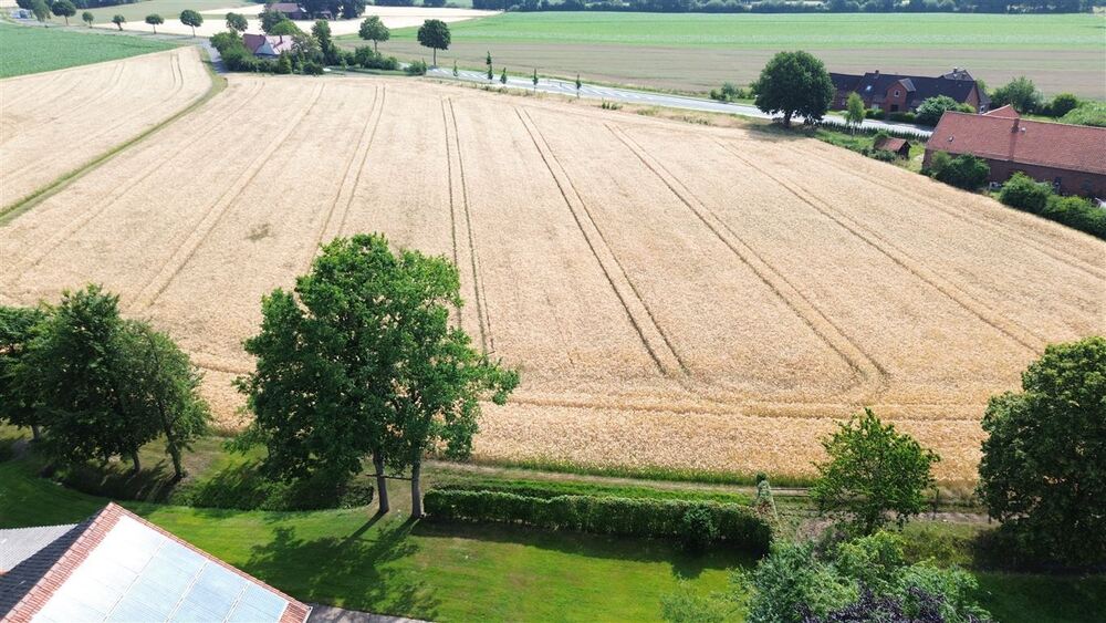Charmanter Resthof mit Nebengebäuden und viel Platz für Tierhaltung - Gewerbeobjekt Stolzenau | Angebot:26302275