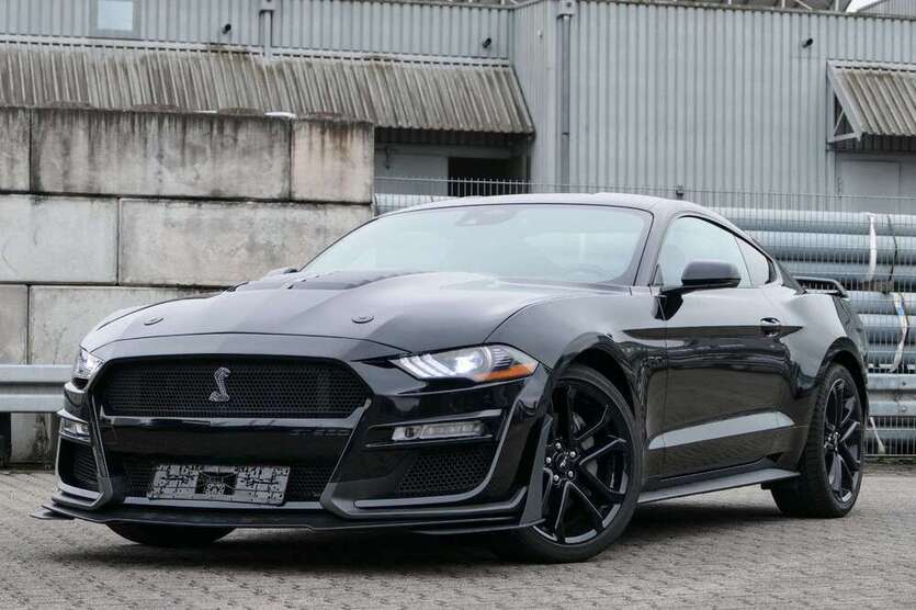 Mustang