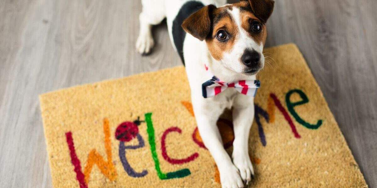 Grundstück Radebeul - 198.800&euro; | Angebot:24873241