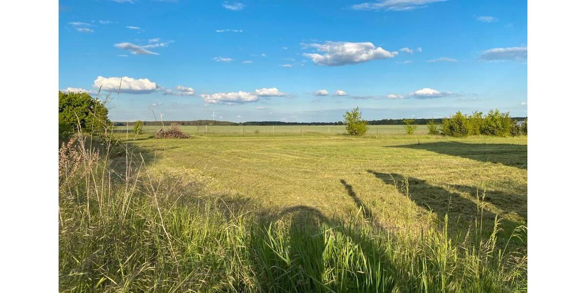 Einfamilienhaus Herzberg (Elster) - 1 Zimmer, 1 m&sup2;, 39.990&euro; | Angebot:26936915