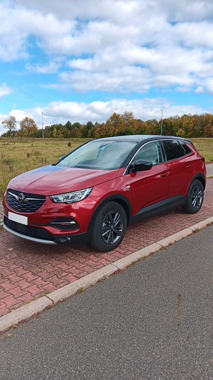 Opel Grandland (X) 29.000 km 17.990 € Auerbach 08209