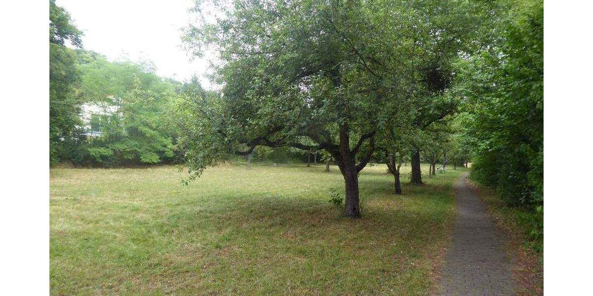 Grundstück Scheinfeld - 250.000&euro; | Angebot:25777027