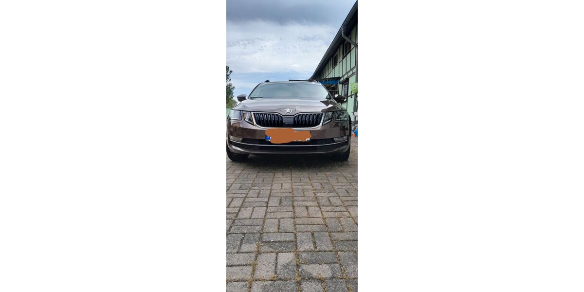 Skoda Octavia 171.438 km 12.300 &euro; Hörselberg-Hainich 99820
