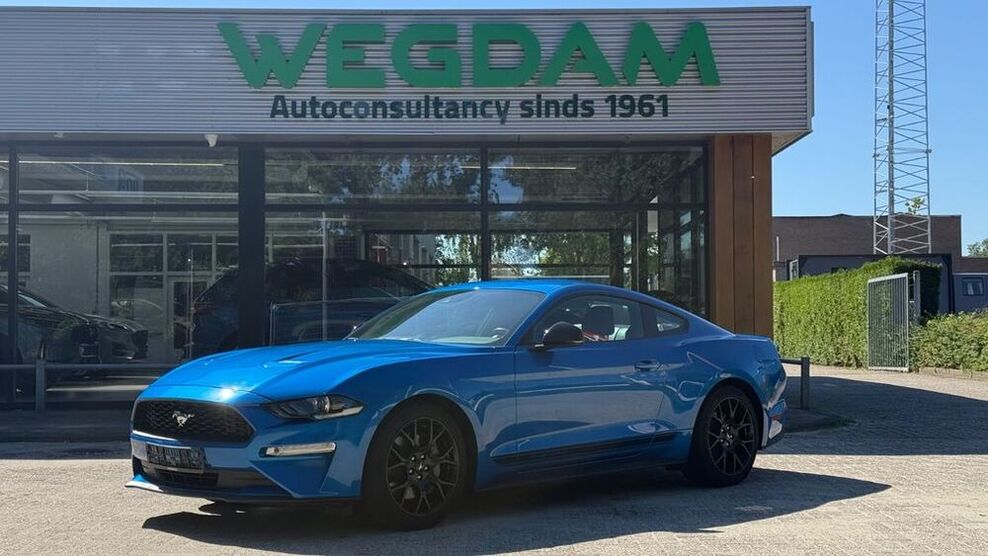 Mustang