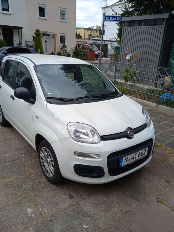 Panda