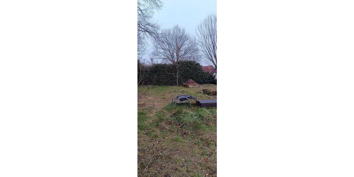 Erdgeschoßwohnung Bad Bentheim - 3 Zimmer, 74 m&sup2;, 700&euro; | Angebot:26337100