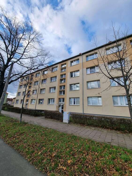 Wohnung zum Mieten in Halberstadt 320 € 50 m²