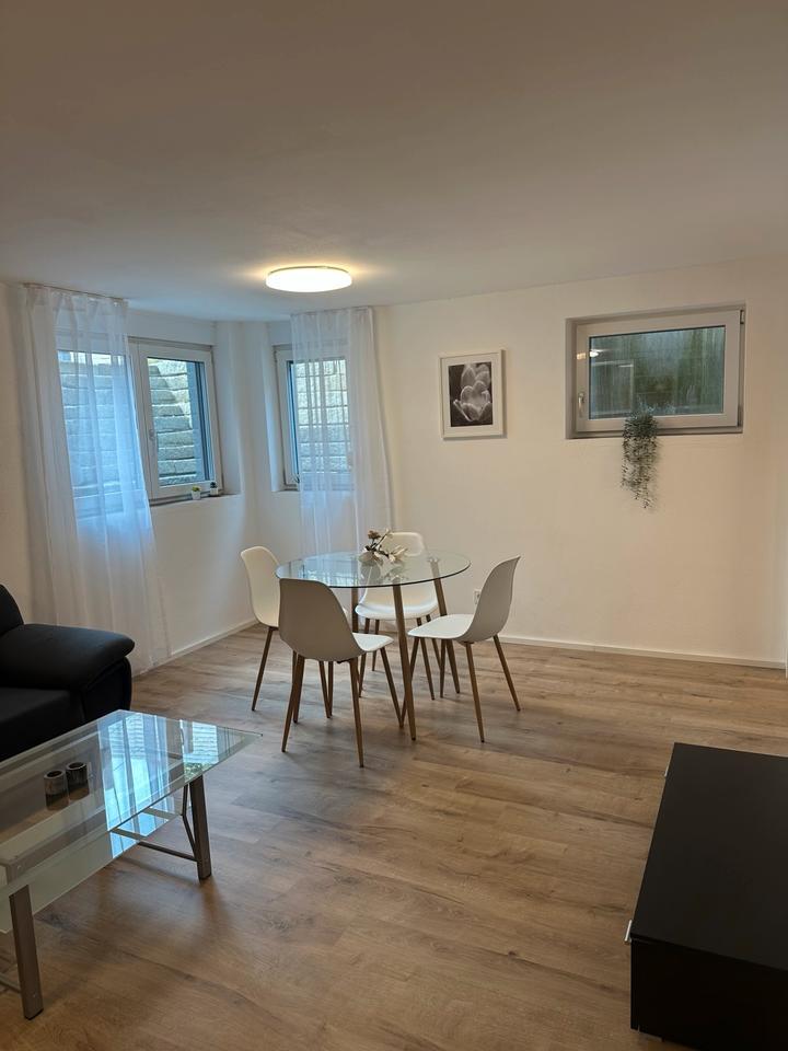 1,5 Zimmer EinliegerWohnung -möbliert-