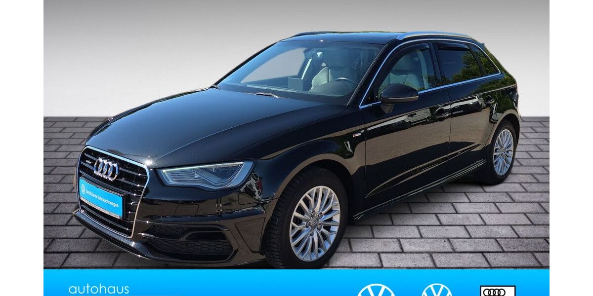 Audi A3 132.580 km 17.790 &euro; Neuruppin 16816