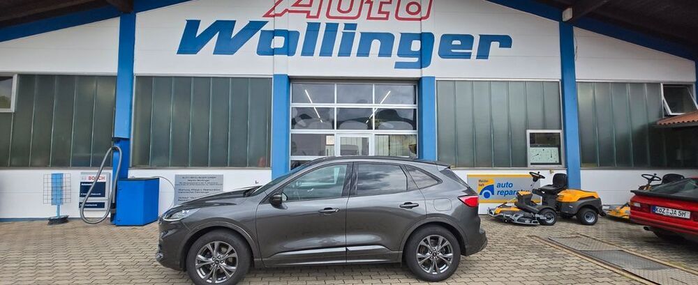 Kuga