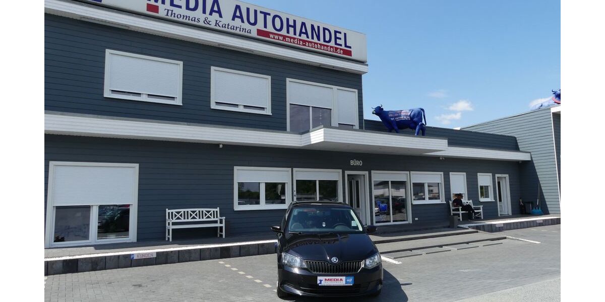 Skoda Fabia 128.000 km 7.900 &euro; Magdeburg 39108