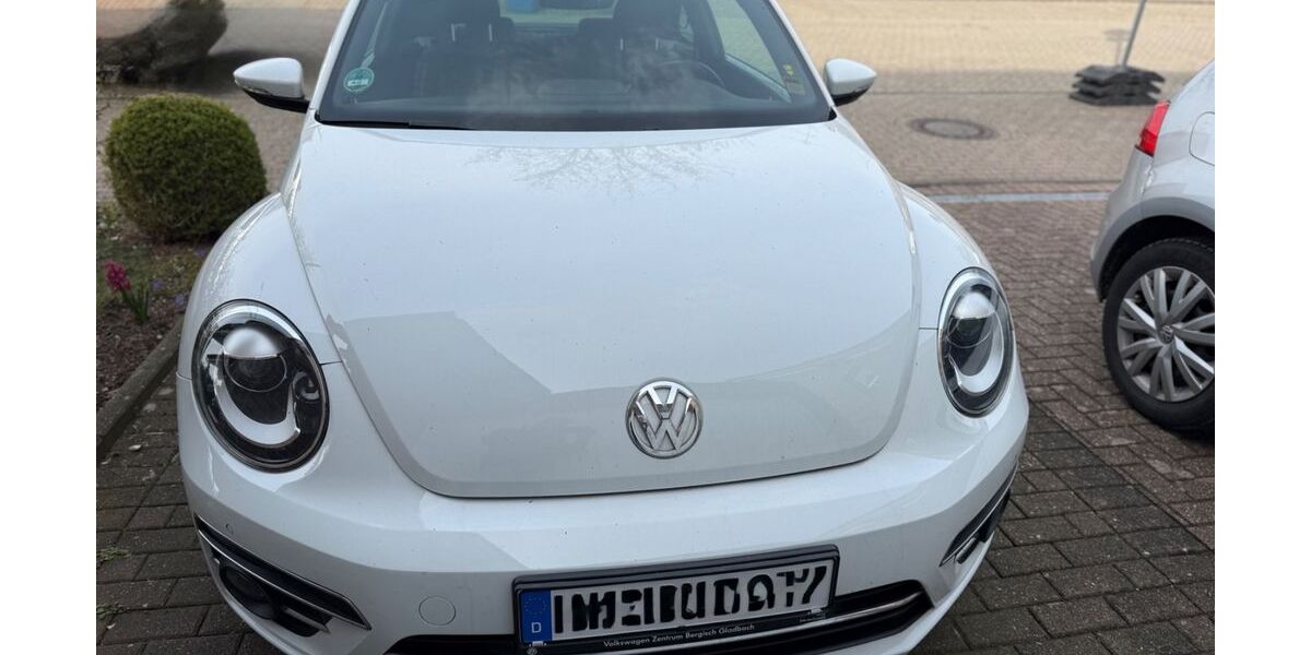 VW Beetle 50.500 km 14.900 &euro; Grefrath 47929