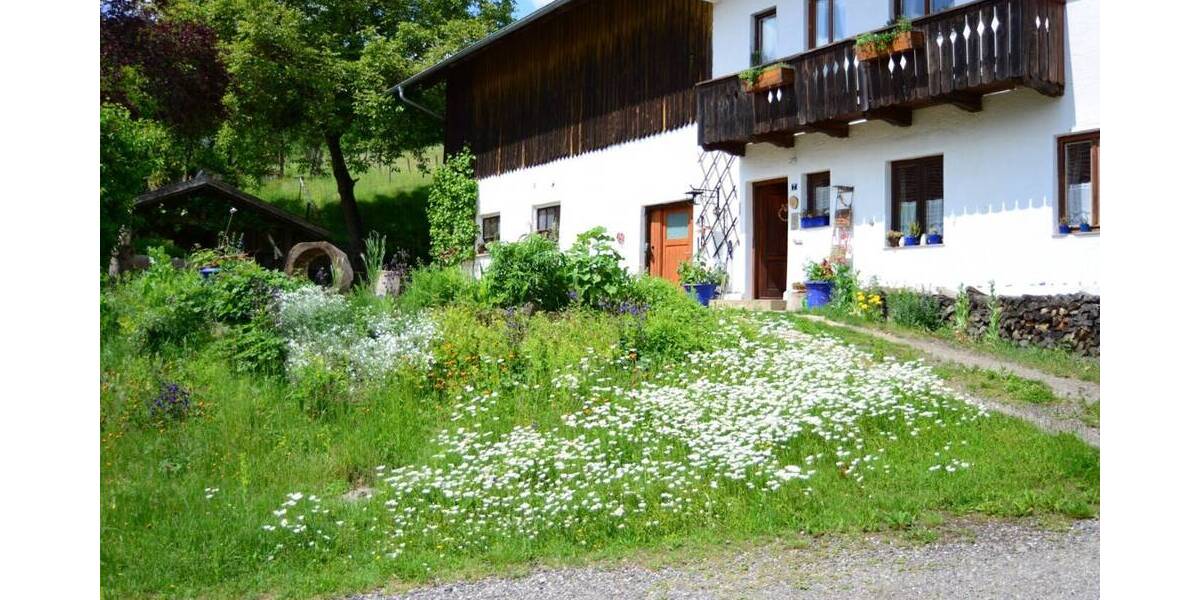 Mehrfamilienhaus, Wohnhaus Wiesenfelden - 659.000&euro; | Angebot:25984480
