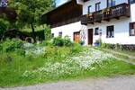 Mehrfamilienhaus, Wohnhaus Wiesenfelden - 659.000&euro; | Angebot:25984480