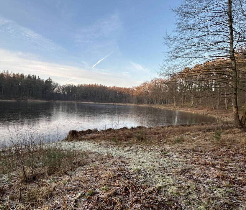 Tinyhaus Naturgrundstück 1652qm Landschaftsschutzgebiet ca90Min.von Berlin 1Nachbar Nebengebäude