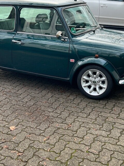 Mini (alt)