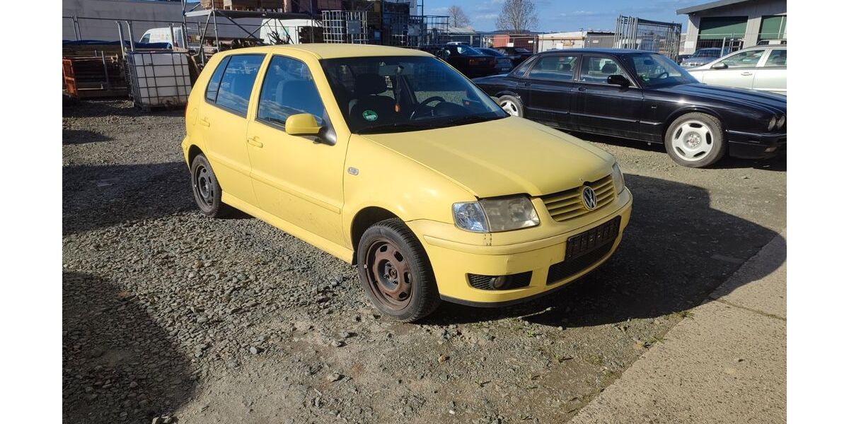 VW Polo 224.000 km 600 &euro; Westerfeld 61267