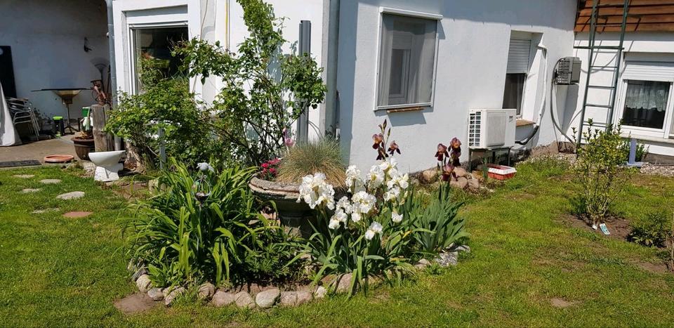 Mehrfamilienhaus, Wohnhaus Gransebieth - 210.000&euro; | Angebot:27097272