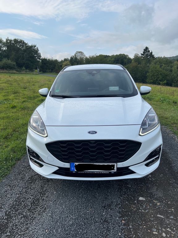 Kuga
