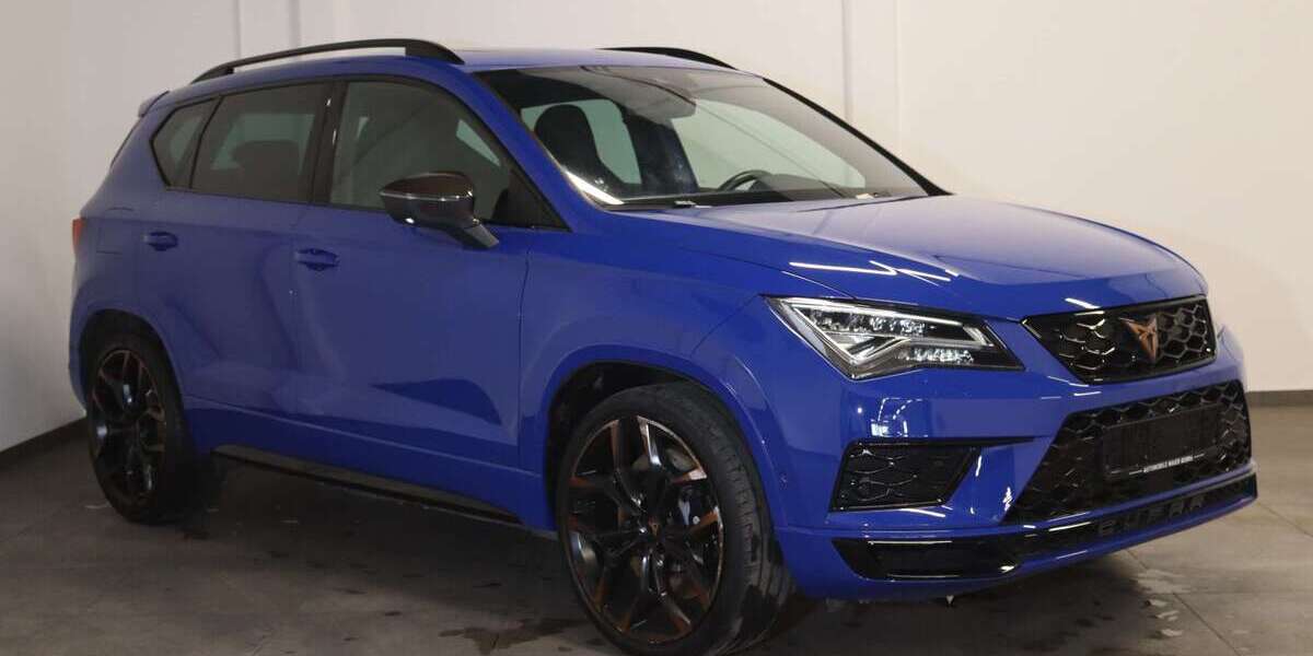 Cupra Ateca 115.700 km 20.800 &euro; Bebra 36179