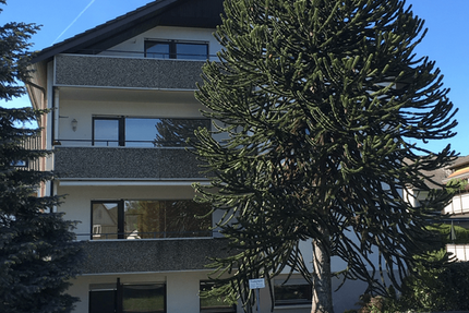 Wohnung zum Mieten in Baden-Baden 750 € 65 m²