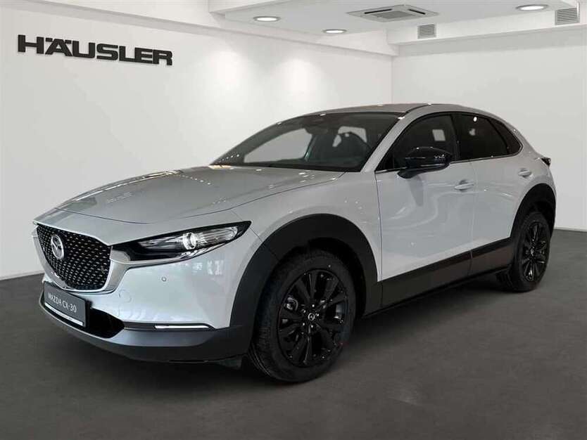 CX-30