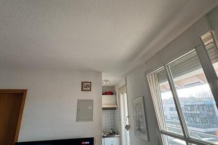 Wohnung Freiburg im Breisgau Haslach - 1 Zimmer, 23 m&sup2;, 650&euro; | Angebot:25440877