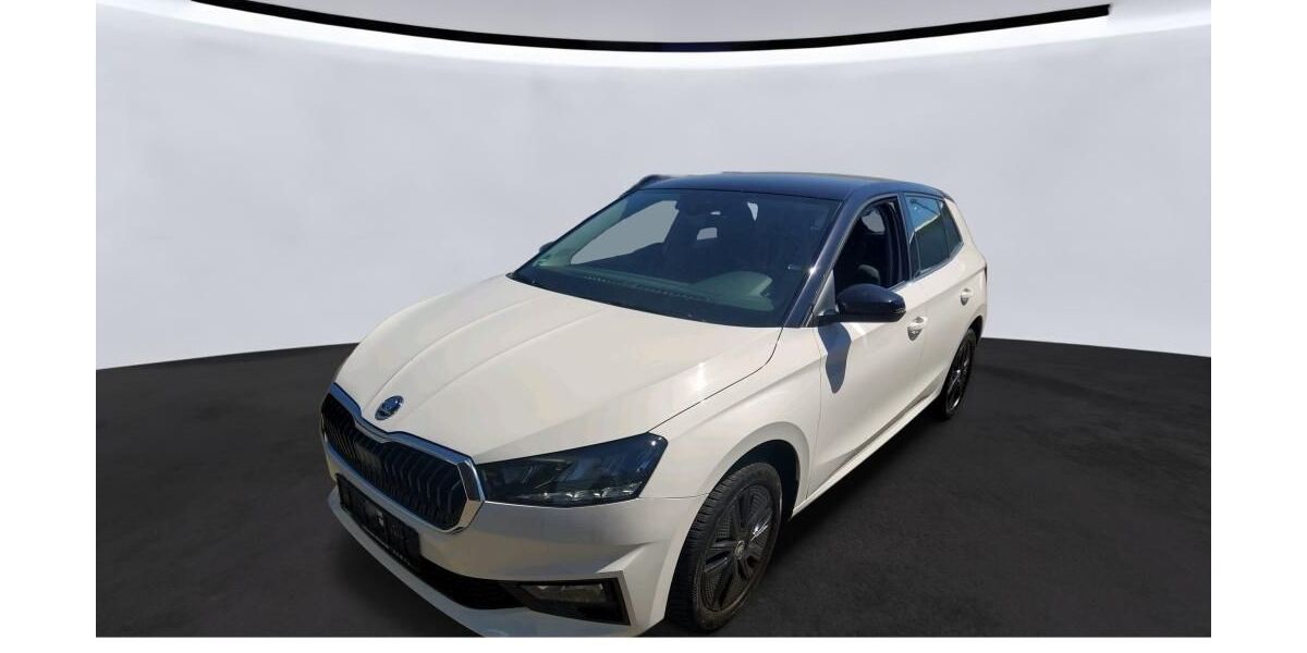 Skoda Fabia 54.527 km 15.850 &euro; Nordhorn 48529
