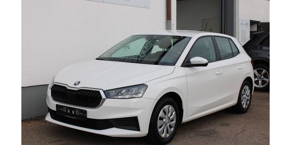 Skoda Fabia 130.000 km 9.990 &euro; Lampertheim 68623
