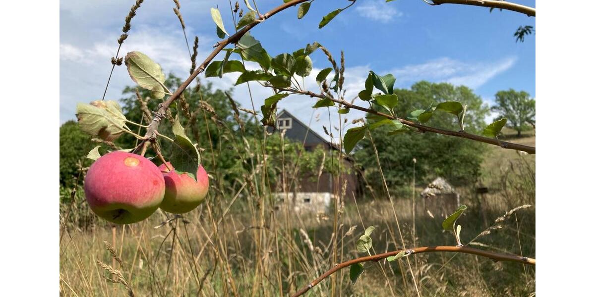 Dachgeschoßwohnung Klingenberg - 3 Zimmer, 75 m&sup2;, 375&euro; | Angebot:25309794