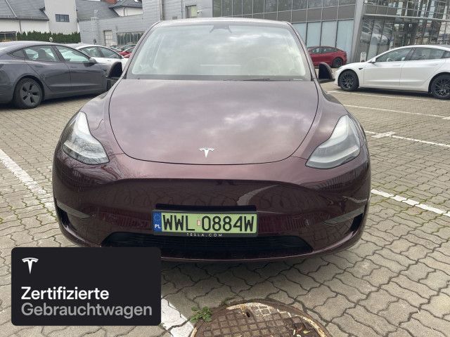 Model Y