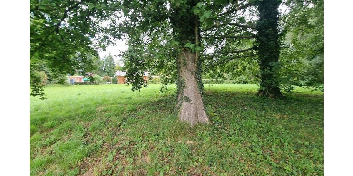 Einfamilienhaus Neuruppin Molchow - 5 Zimmer, 120 m&sup2;, 495.000&euro; | Angebot:26229757