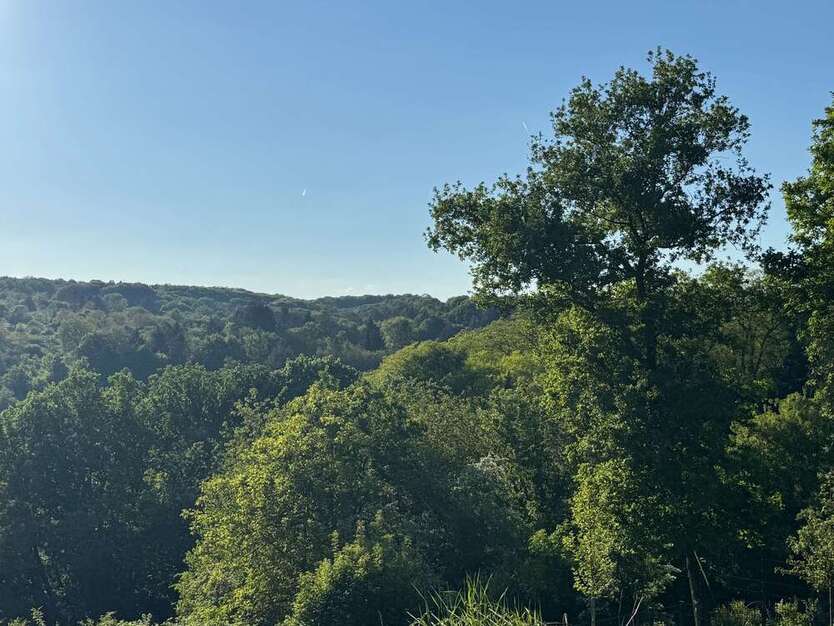 Grundstück zu verkaufen in Bad Soden am Taunus 1.650.000 € 2500 m²
