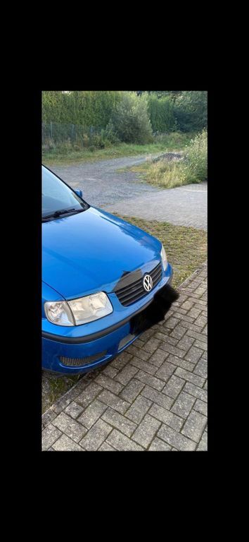 Polo