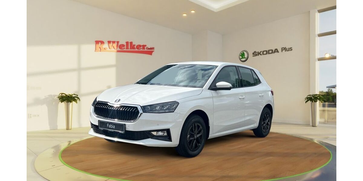 Skoda Fabia 2.500 km 25.880 € Weiterstadt 64331