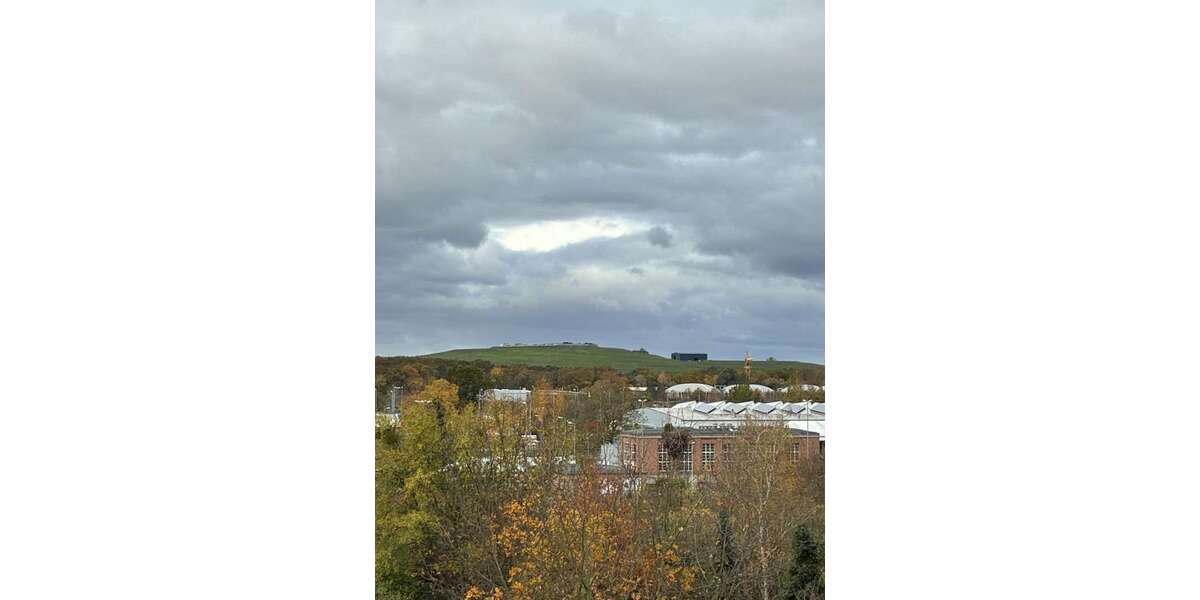 WG-Zimmer in Dessau-Roßlau 270 € 30 m² zimmer