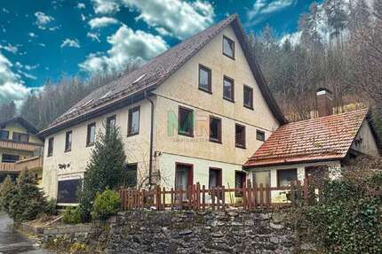 Haus Baiersbronn - 16 Zimmer, 224 m&sup2;, 159.000&euro; | Angebot:26802362
