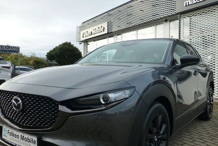 Mazda CX-3 4.500 km 29.990 &euro; Aschersleben 06449
