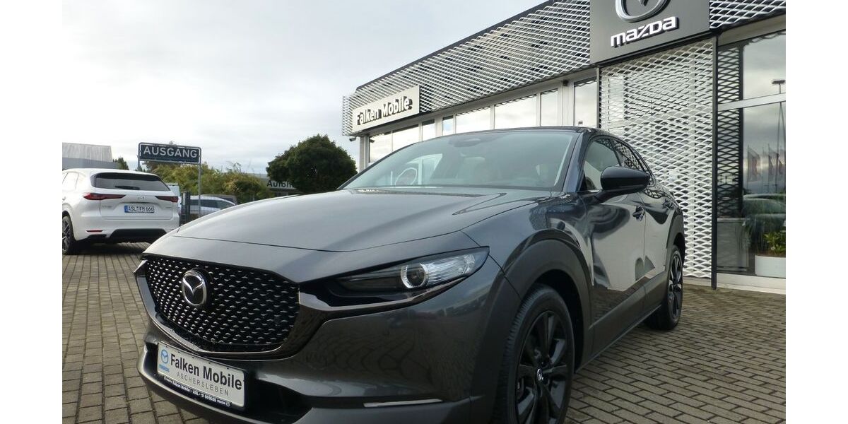 Mazda CX-3 4.500 km 29.990 &euro; Aschersleben 06449