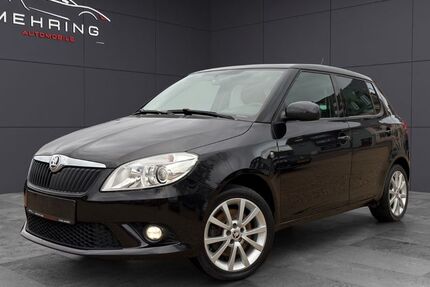 Skoda Fabia 89.000 km 9.480 &euro; Mehring 54346