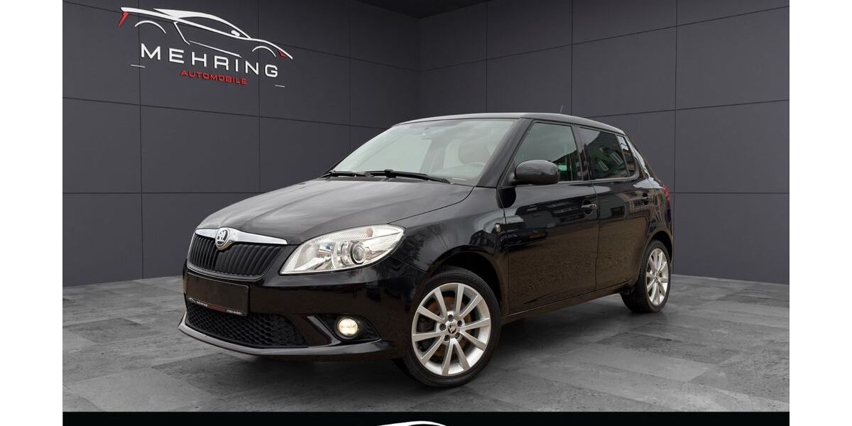 Skoda Fabia 89.000 km 9.480 &euro; Mehring 54346