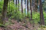 Grundstück Flossenbürg - 170.000&euro; | Angebot:26036735