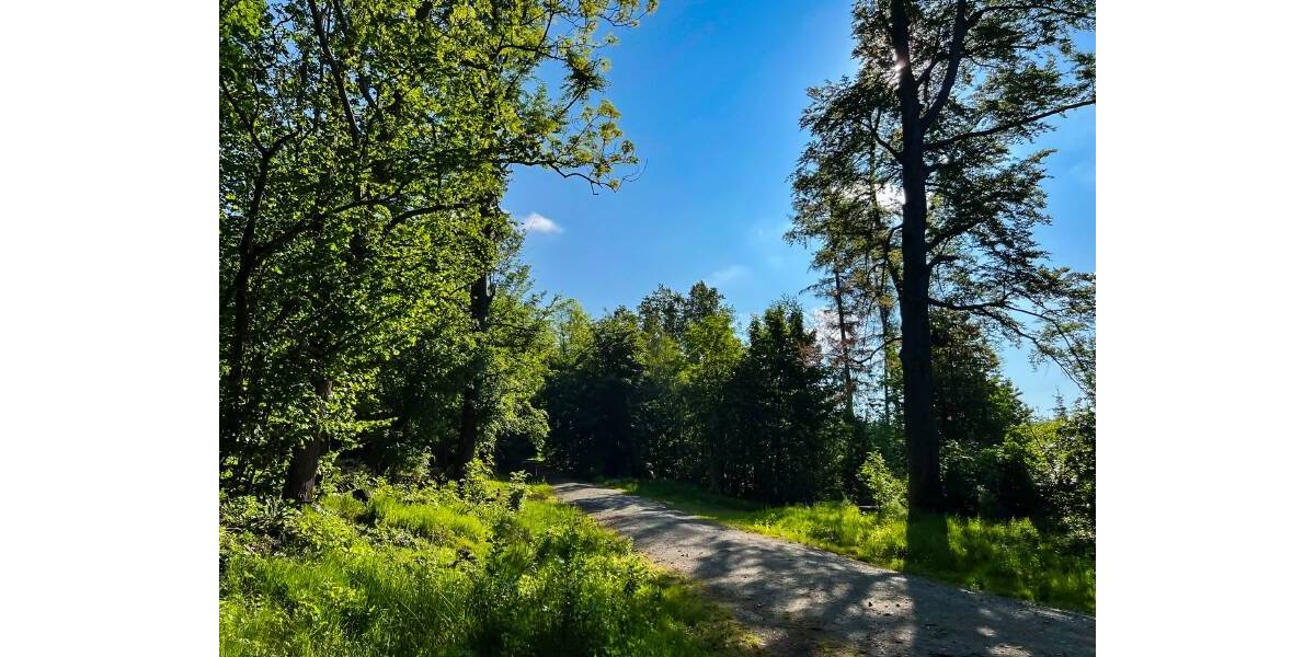 Bauernhaus, Landhaus Neustadt Berthelsdorf - 5 Zimmer, 150 m&sup2;, 485.000&euro; | Angebot:25770653